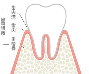 正常な状態
